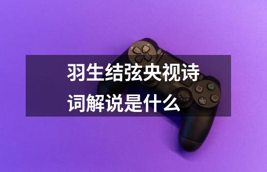 羽生结弦央视诗词解说是什么-第1张-游戏信息-龙启网