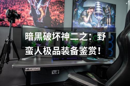 暗黑破坏神二之:野蛮人极品装备鉴赏!-第1张-游戏信息-龙启网