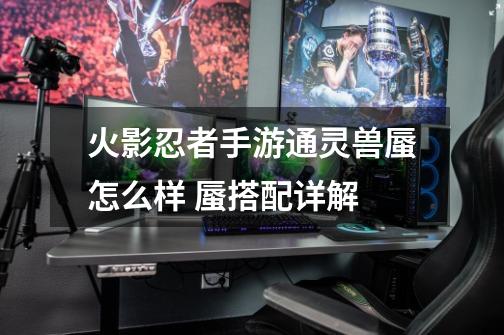 火影忍者手游通灵兽蜃怎么样 蜃搭配详解-第1张-游戏信息-龙启网