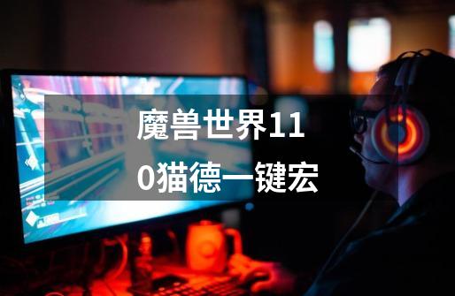 魔兽世界11.0猫德一键宏-第1张-游戏信息-龙启网