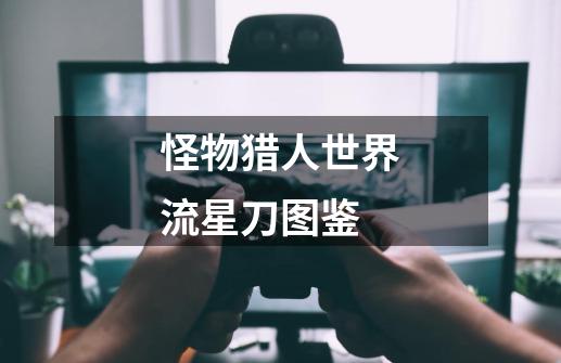 怪物猎人世界流星刀图鉴-第1张-游戏信息-龙启网