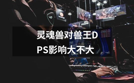 灵魂兽对兽王DPS影响大不大-第1张-游戏信息-龙启网