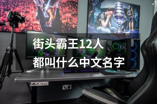 街头霸王12人 都叫什么中文名字-第1张-游戏信息-龙启网