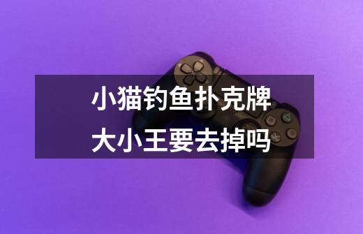 小猫钓鱼扑克牌大小王要去掉吗-第1张-游戏信息-龙启网