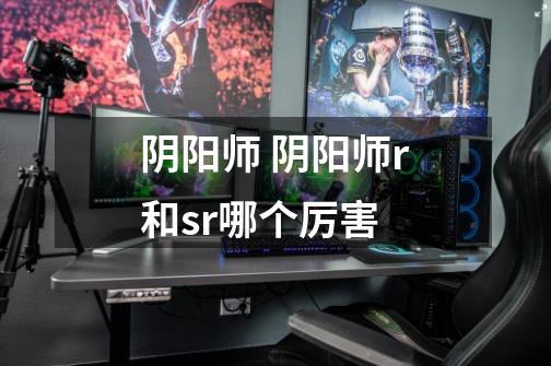 阴阳师 阴阳师r和sr哪个厉害-第1张-游戏信息-龙启网