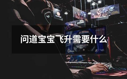 问道宝宝飞升需要什么-第1张-游戏信息-龙启网