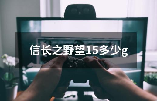 信长之野望15多少g-第1张-游戏信息-龙启网
