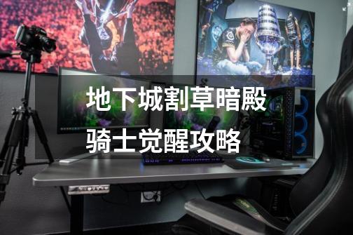 地下城割草暗殿骑士觉醒攻略-第1张-游戏信息-龙启网
