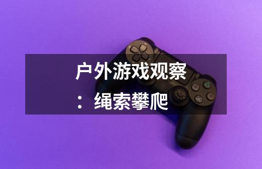 户外游戏观察：绳索攀爬-第1张-游戏信息-龙启网