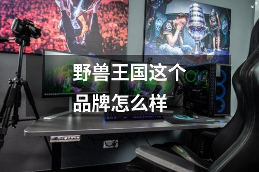 野兽王国这个品牌怎么样-第1张-游戏信息-龙启网