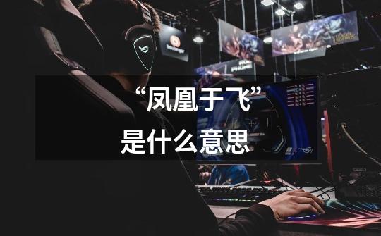 “凤凰于飞”是什么意思-第1张-游戏信息-龙启网