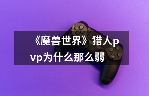《魔兽世界》猎人pvp为什么那么弱-第1张-游戏信息-龙启网
