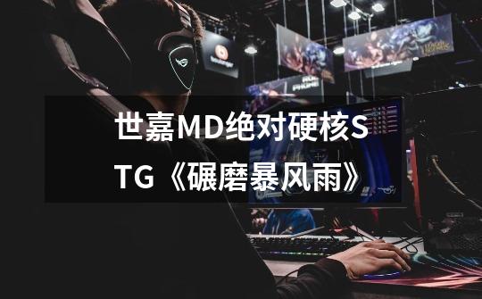 世嘉MD绝对硬核STG《碾磨暴风雨》-第1张-游戏信息-龙启网