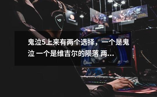 鬼泣5上来有两个选择，一个是鬼泣 一个是维吉尔的陨落 两个有什么区别啊-第1张-游戏信息-龙启网