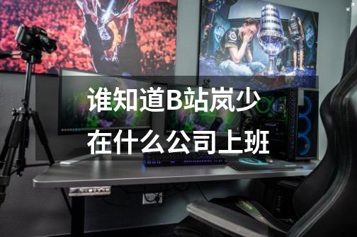 谁知道B站岚少在什么公司上班-第1张-游戏信息-龙启网