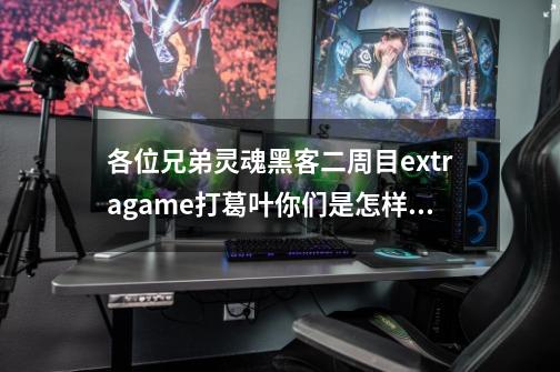 各位兄弟灵魂黑客二周目extragame打葛叶你们是怎样过的-第1张-游戏信息-龙启网