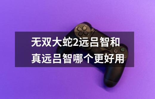 无双大蛇2远吕智和真远吕智哪个更好用-第1张-游戏信息-龙启网