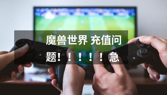 魔兽世界 充值问题!!!!!急-第1张-游戏信息-龙启网