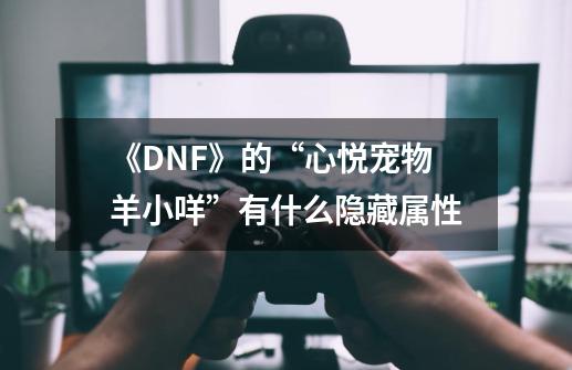 《DNF》的“心悦宠物羊小咩”有什么隐藏属性-第1张-游戏信息-龙启网