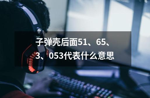 子弹壳后面51、65、3、053代表什么意思-第1张-游戏信息-龙启网
