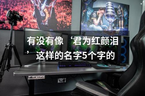 有没有像‘君为红颜泪’这样的名字5个字的-第1张-游戏信息-龙启网
