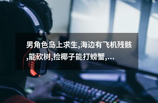 男角色岛上求生,海边有飞机残骸,能砍树,捡椰子能打螃蟹,有野-第1张-游戏信息-龙启网