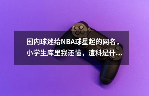 国内球迷给NBA球星起的网名,小学生库里我还懂,渣科是什么鬼?-第1张-游戏信息-龙启网