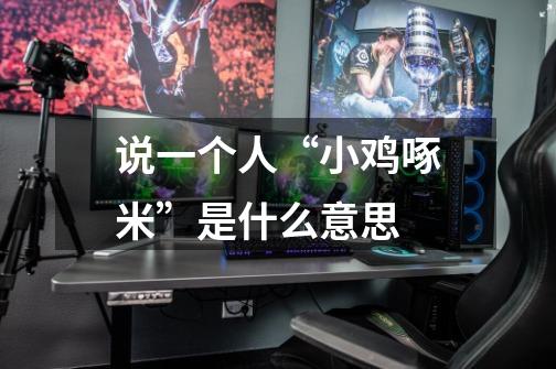 说一个人“小鸡啄米”是什么意思-第1张-游戏信息-龙启网