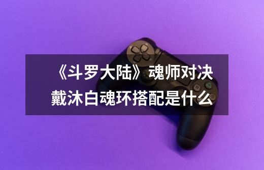 《斗罗大陆》魂师对决戴沐白魂环搭配是什么-第1张-游戏信息-龙启网