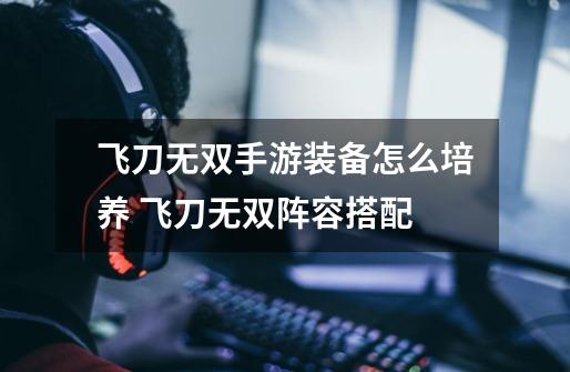 飞刀无双手游装备怎么培养 飞刀无双阵容搭配-第1张-游戏信息-龙启网