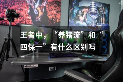 王者中，“养猪流”和“四保一”有什么区别吗-第1张-游戏信息-龙启网