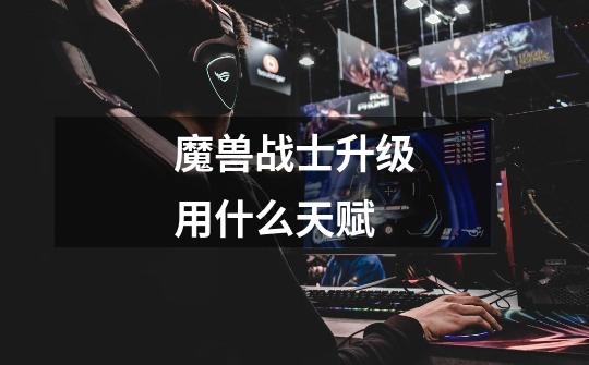 魔兽战士升级用什么天赋-第1张-游戏信息-龙启网