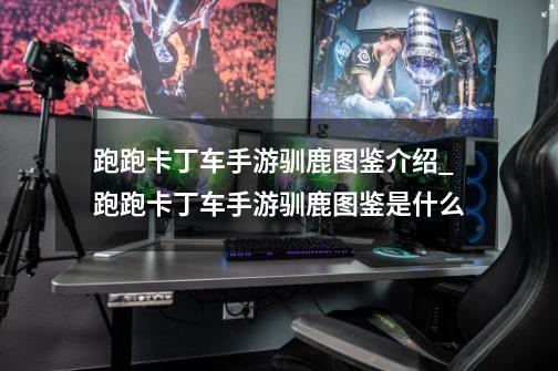 跑跑卡丁车手游驯鹿图鉴介绍_跑跑卡丁车手游驯鹿图鉴是什么-第1张-游戏信息-龙启网