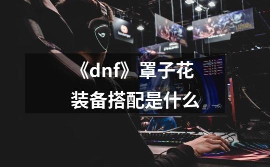 《dnf》罩子花装备搭配是什么-第1张-游戏信息-龙启网