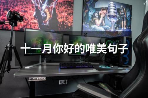 十一月你好的唯美句子-第1张-游戏信息-龙启网