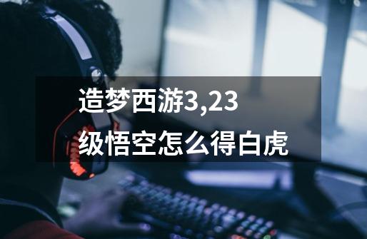 造梦西游3,23级悟空怎么得白虎-第1张-游戏信息-龙启网