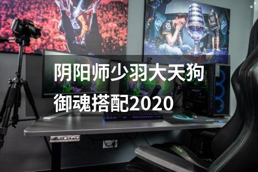 阴阳师少羽大天狗御魂搭配2020-第1张-游戏信息-龙启网
