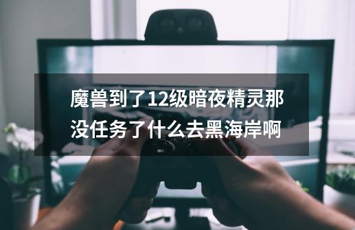 魔兽到了12级暗夜精灵那没任务了什么去黑海岸啊-第1张-游戏信息-龙启网