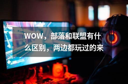 WOW,部落和联盟有什么区别,两边都玩过的来-第1张-游戏信息-龙启网