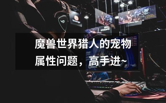 魔兽世界猎人的宠物属性问题,高手进~-第1张-游戏信息-龙启网