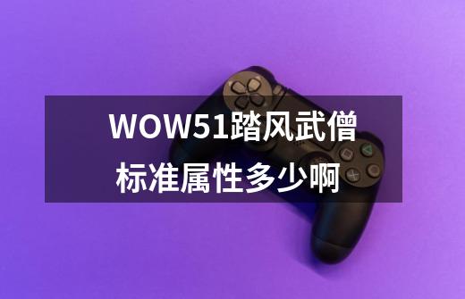 WOW5.1踏风武僧 标准属性多少啊-第1张-游戏信息-龙启网