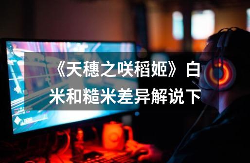 《天穗之咲稻姬》白米和糙米差异解说下-第1张-游戏信息-龙启网