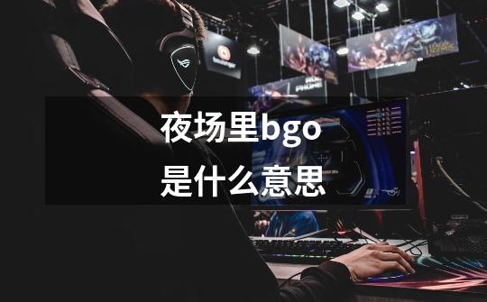 夜场里bgo是什么意思-第1张-游戏信息-龙启网