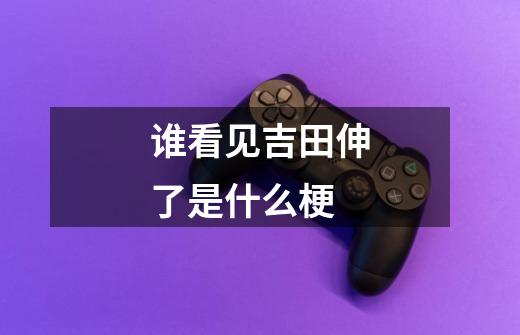 谁看见吉田伸了是什么梗-第1张-游戏信息-龙启网