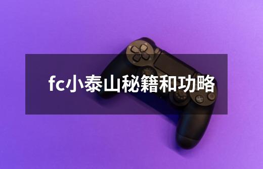 fc小泰山秘籍和功略-第1张-游戏信息-龙启网