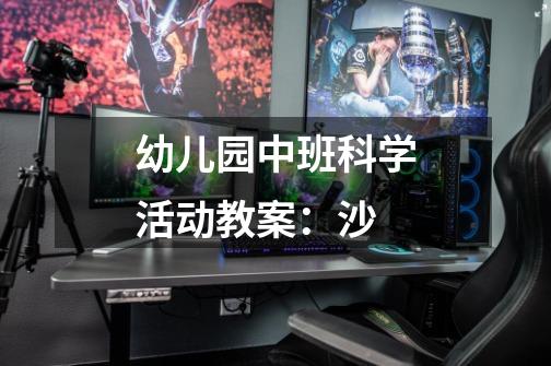 幼儿园中班科学活动教案:沙-第1张-游戏信息-龙启网