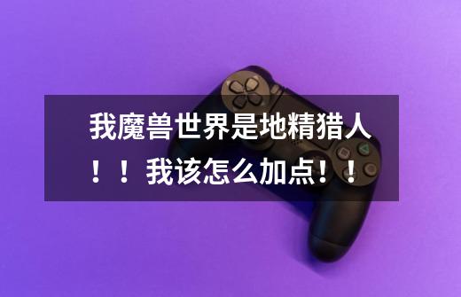 我魔兽世界是地精猎人!!我该怎么加点!!-第1张-游戏信息-龙启网