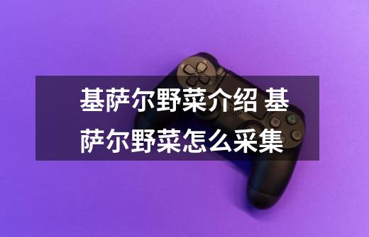 基萨尔野菜介绍 基萨尔野菜怎么采集-第1张-游戏信息-龙启网