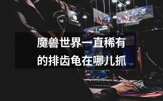 魔兽世界一直稀有的排齿龟在哪儿抓-第1张-游戏信息-龙启网