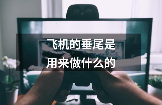 飞机的垂尾是用来做什么的-第1张-游戏信息-龙启网